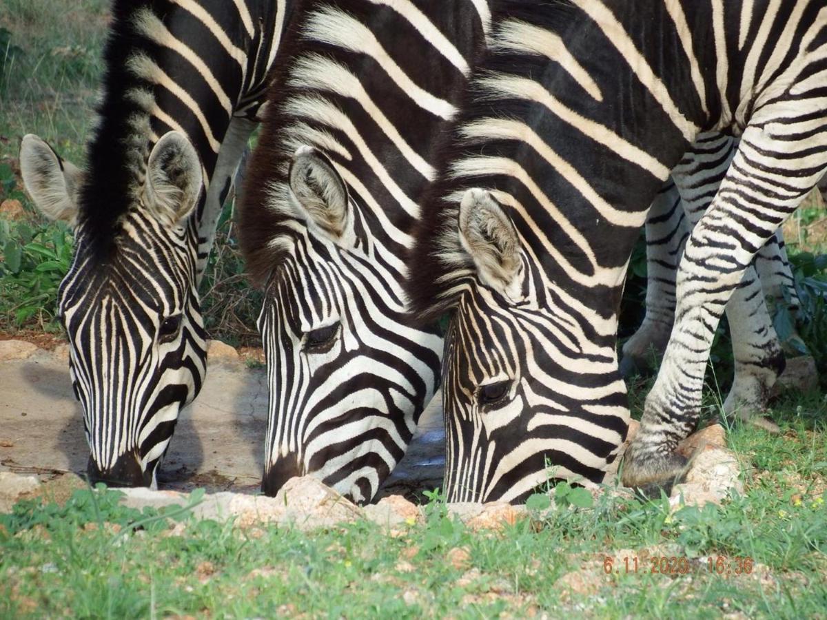 Ku Sungula Safari Lodge Balule Wildreservaat Buitenkant foto