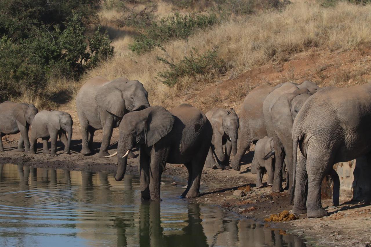 Ku Sungula Safari Lodge Balule Wildreservaat Buitenkant foto