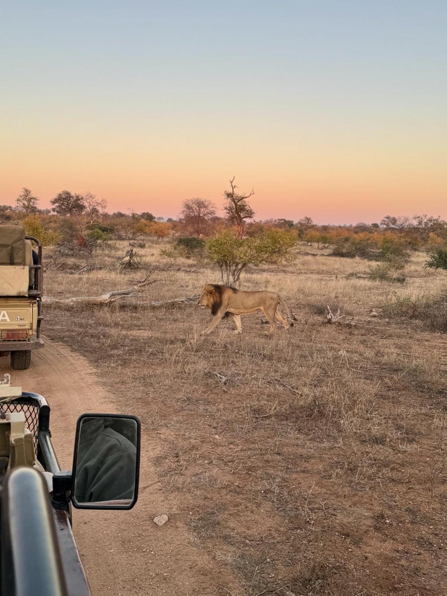 Ku Sungula Safari Lodge Balule Wildreservaat Buitenkant foto