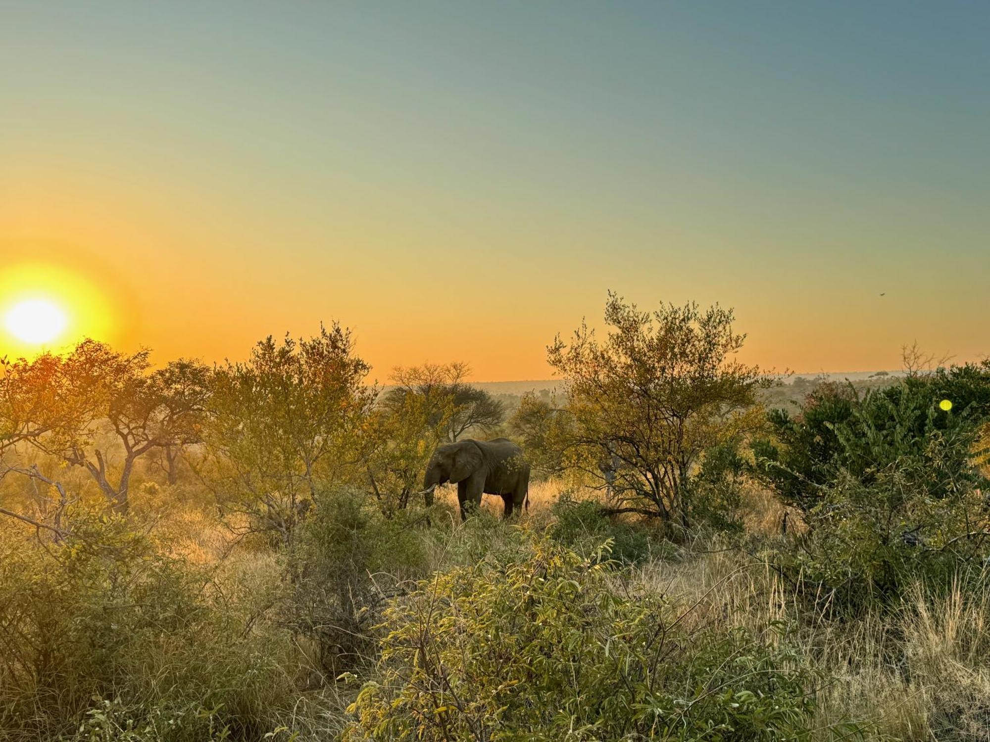 Ku Sungula Safari Lodge Balule Wildreservaat Buitenkant foto