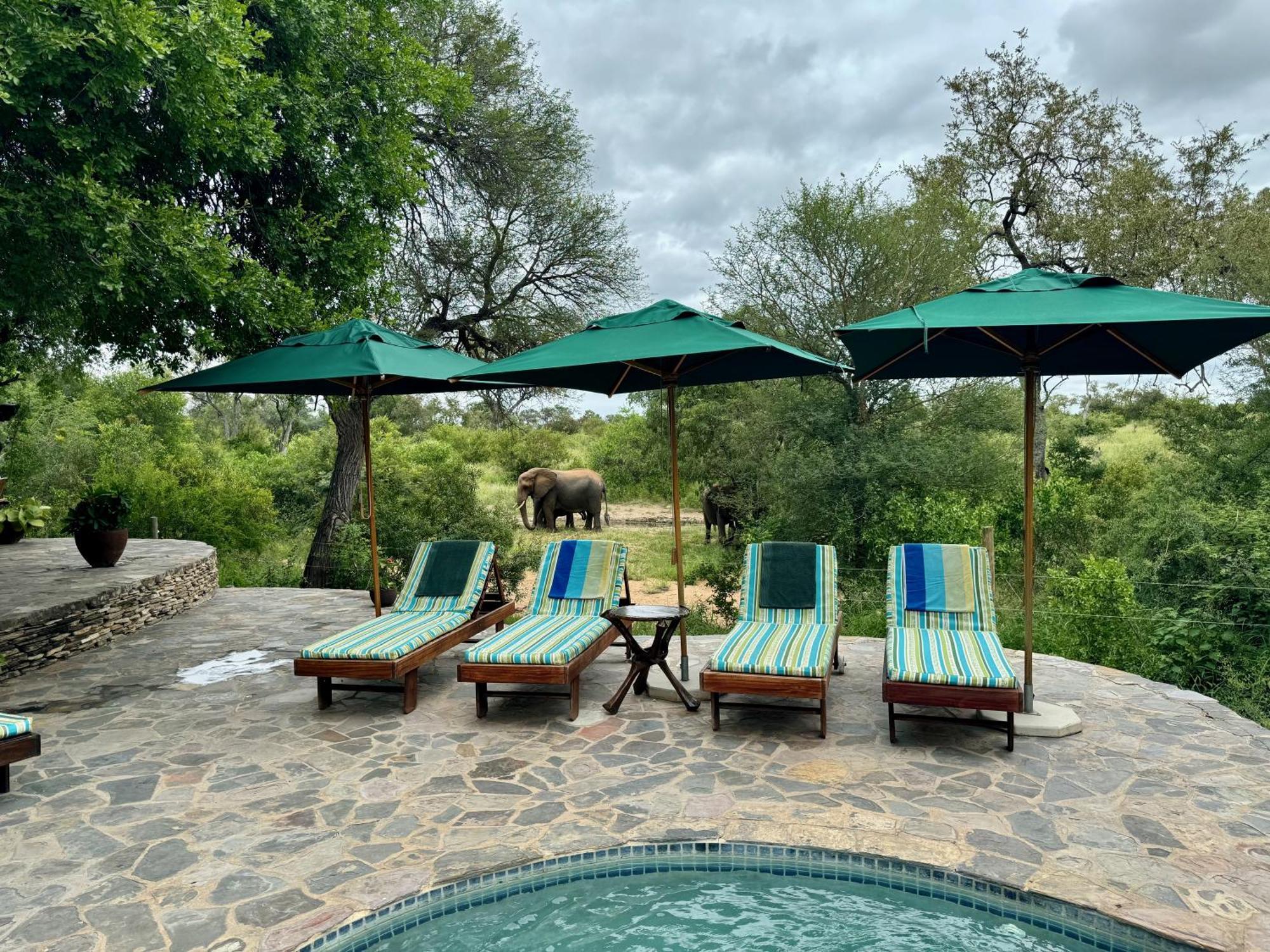 Ku Sungula Safari Lodge Balule Wildreservaat Buitenkant foto