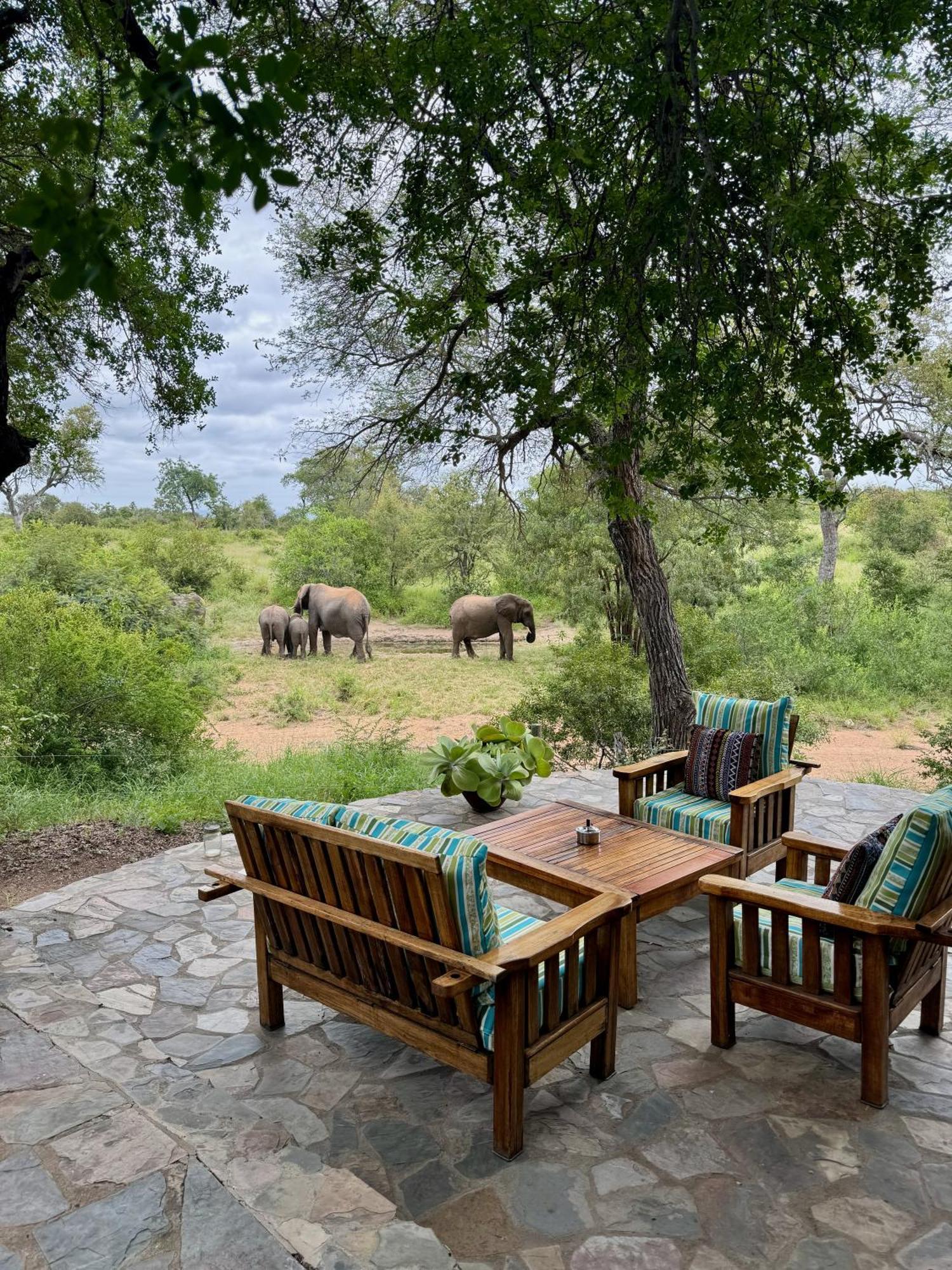 Ku Sungula Safari Lodge Balule Wildreservaat Buitenkant foto