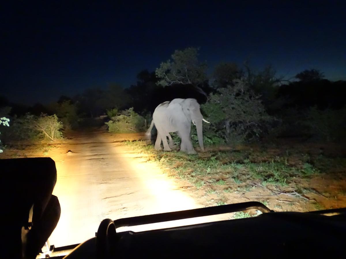 Ku Sungula Safari Lodge Balule Wildreservaat Buitenkant foto