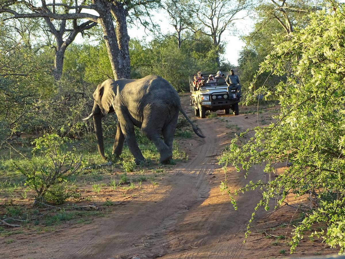 Ku Sungula Safari Lodge Balule Wildreservaat Buitenkant foto