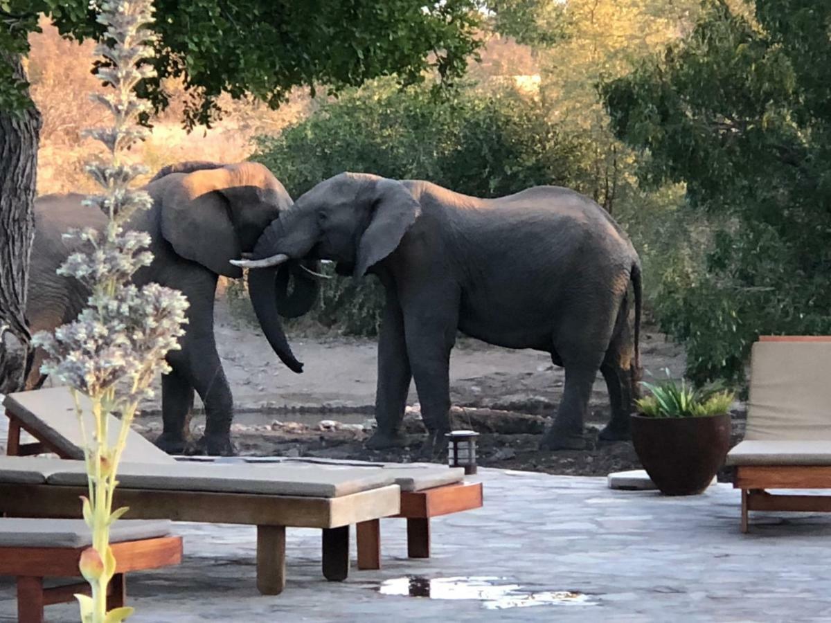 Ku Sungula Safari Lodge Balule Wildreservaat Buitenkant foto